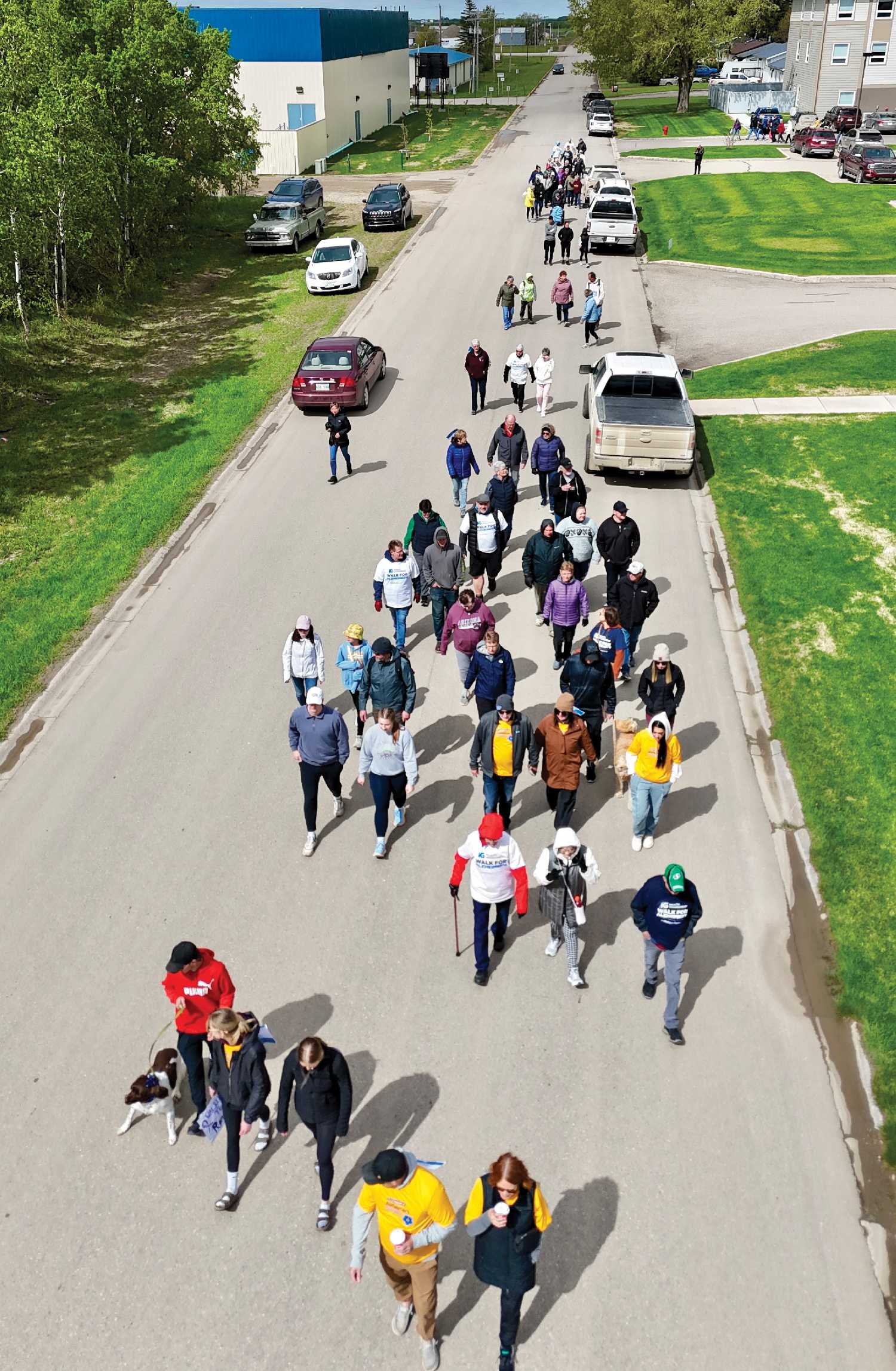 An aerial view of walkers in Moosomin last year.